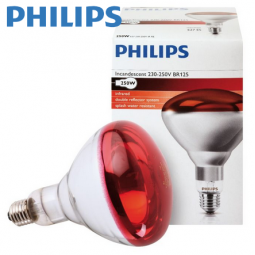 Ampoule IR à vis rouge 250w...