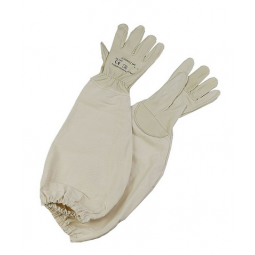 Gants cuir souple T12