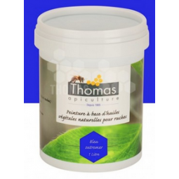 Peinture ruche bleu...